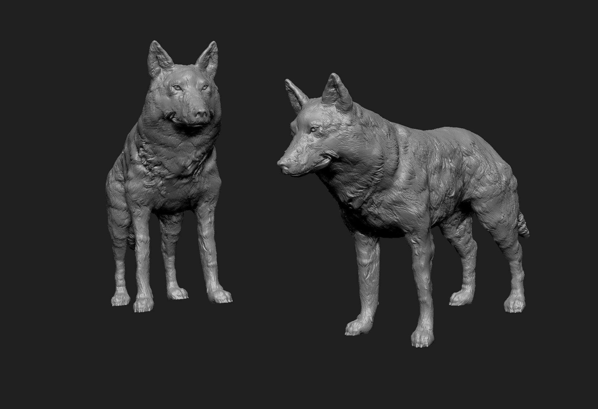 wolf 3d model 3D print model_5