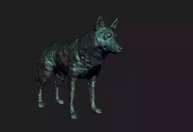 wolf 3d model