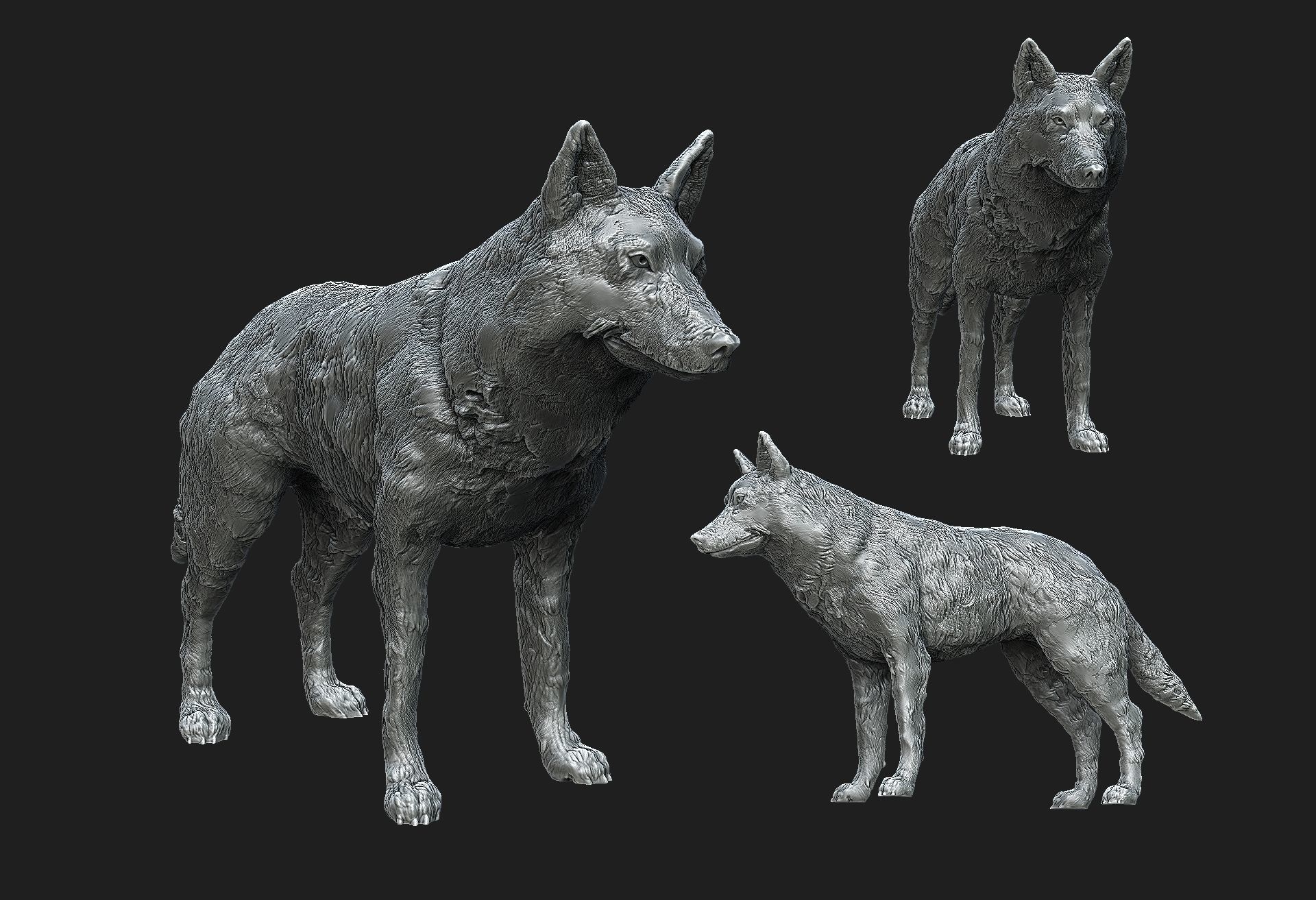 wolf 3d model 3D print model_2