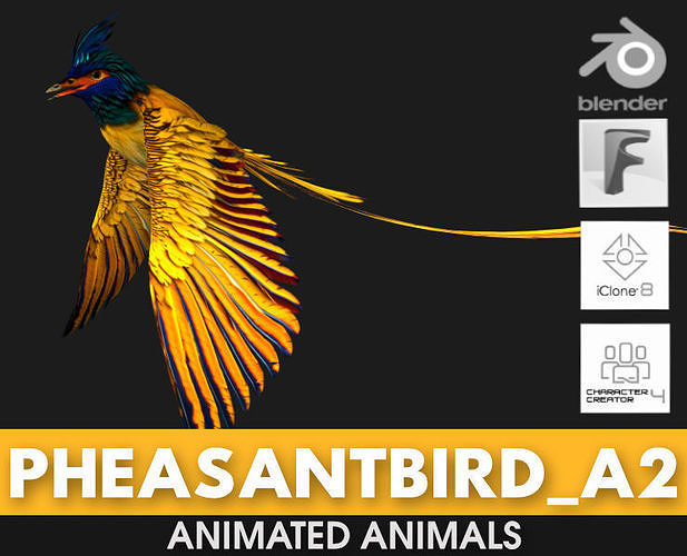 PheasantBird A2 3D model