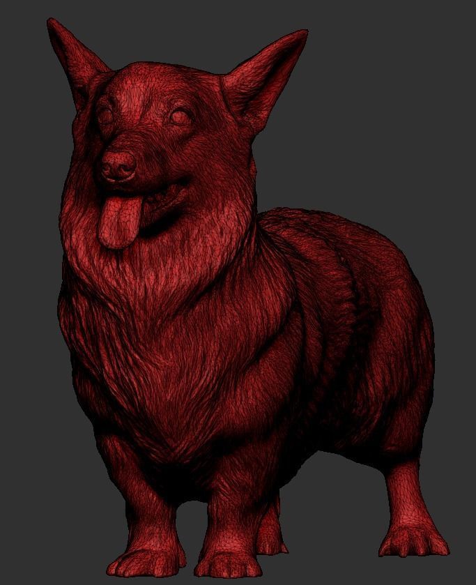 Corgi dog 39 Low-poly 3D model_5