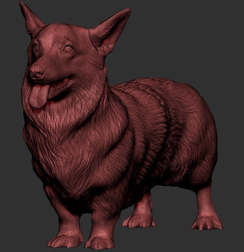 Corgi dog 39 Low-poly 3D model_7