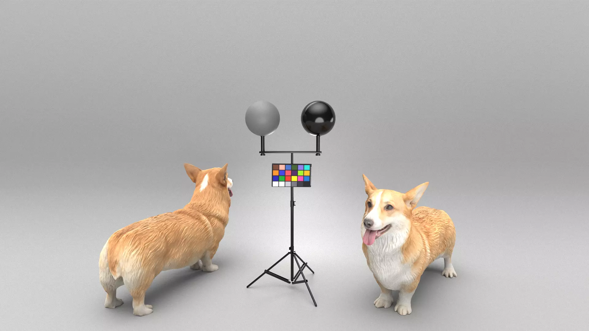 Corgi dog 39 Low-poly 3D model_0