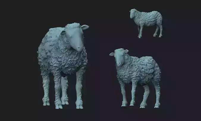 sheep 3d model