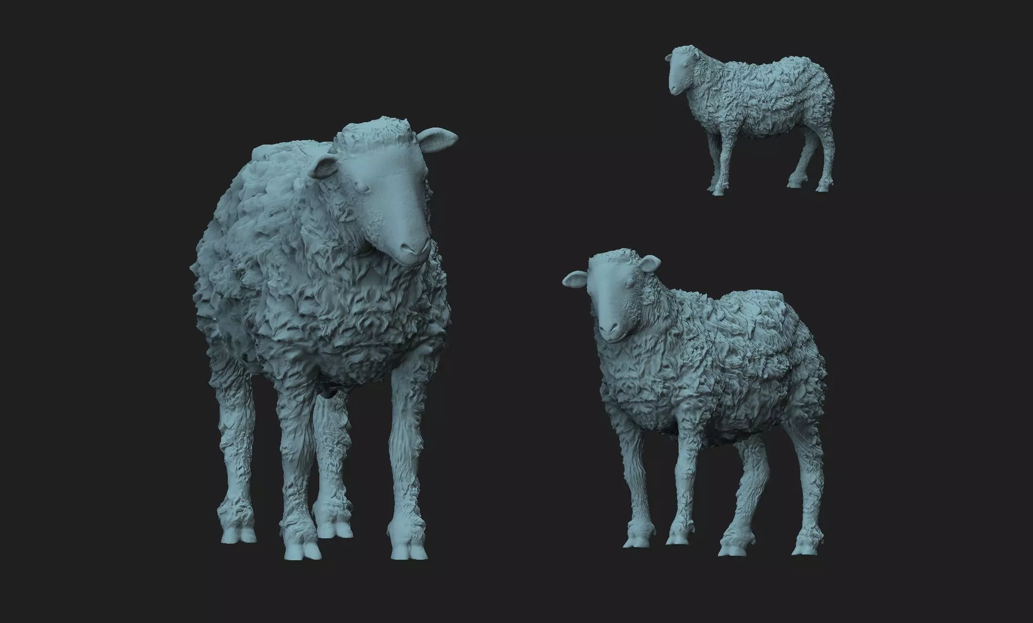 sheep 3d model 3D print model_0