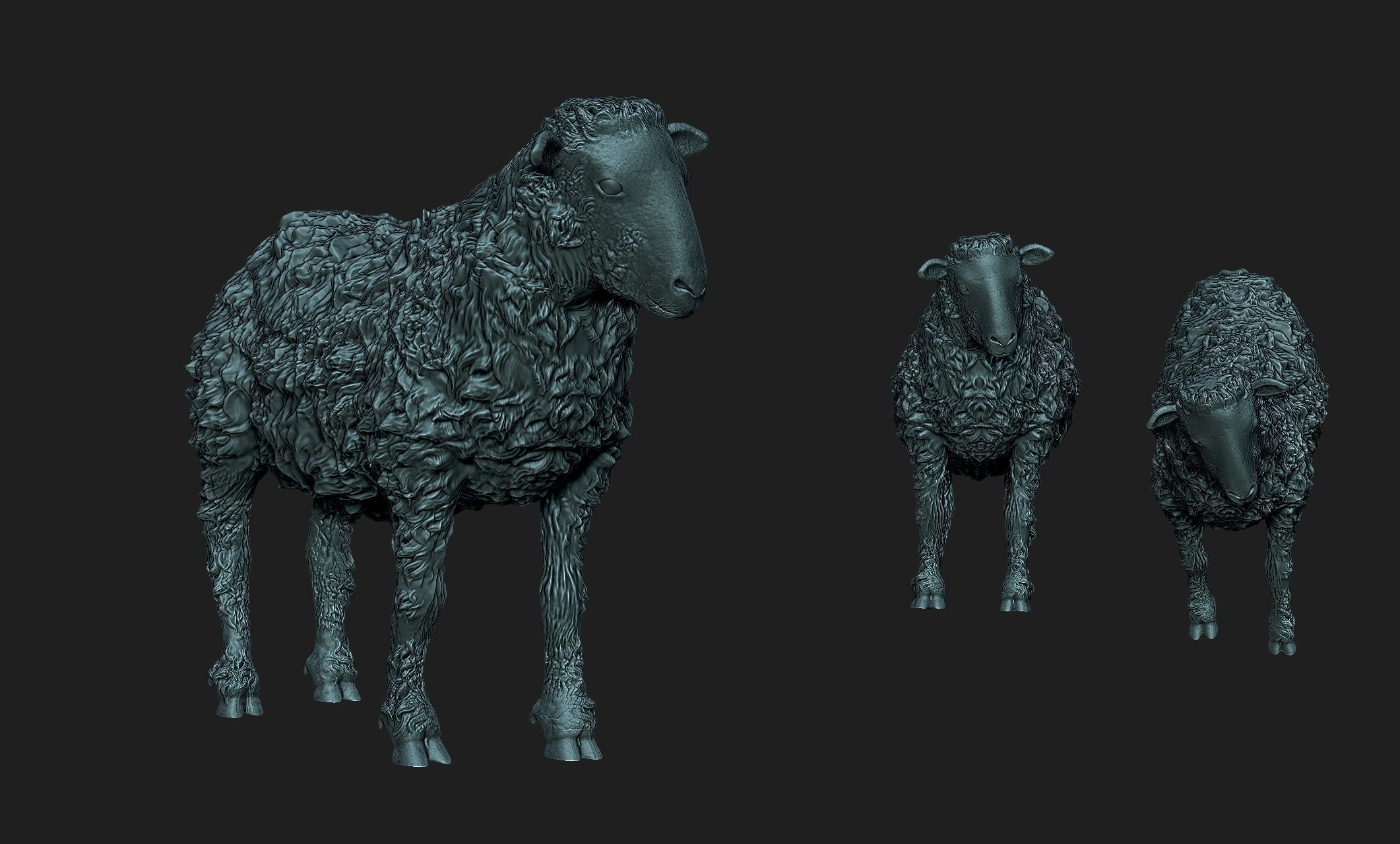 sheep 3d model 3D print model_3