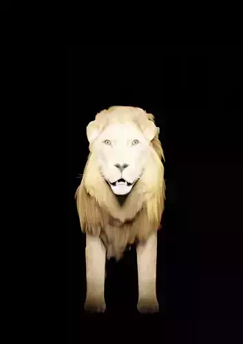 Lion for game 3D model