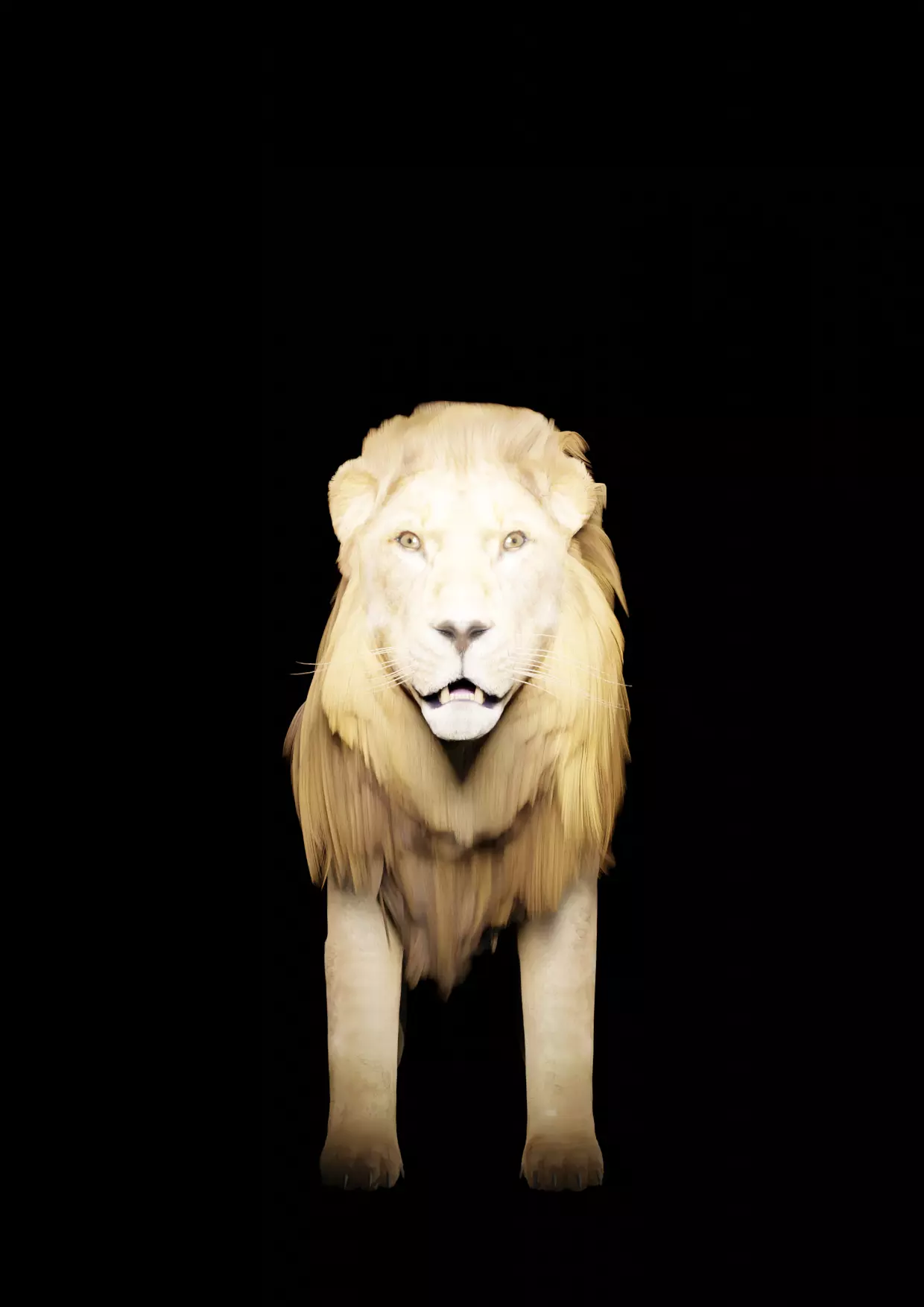 Lion for game 3D model_0