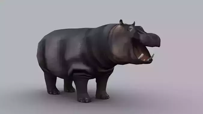HIPPOPOTAMUS GAME READY ANIMATED MODEL Low-poly 3D model
