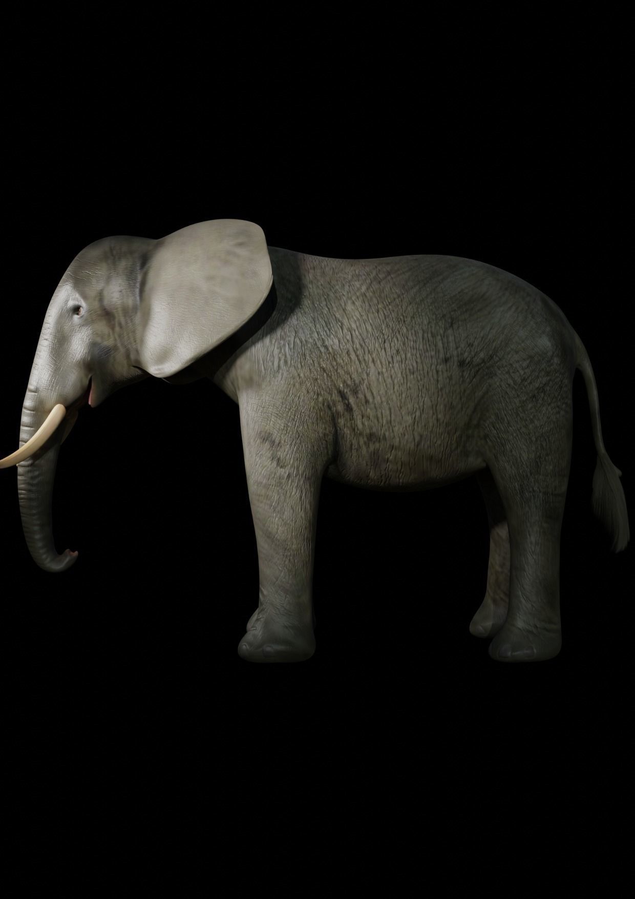 elephant  for game 3D model_1