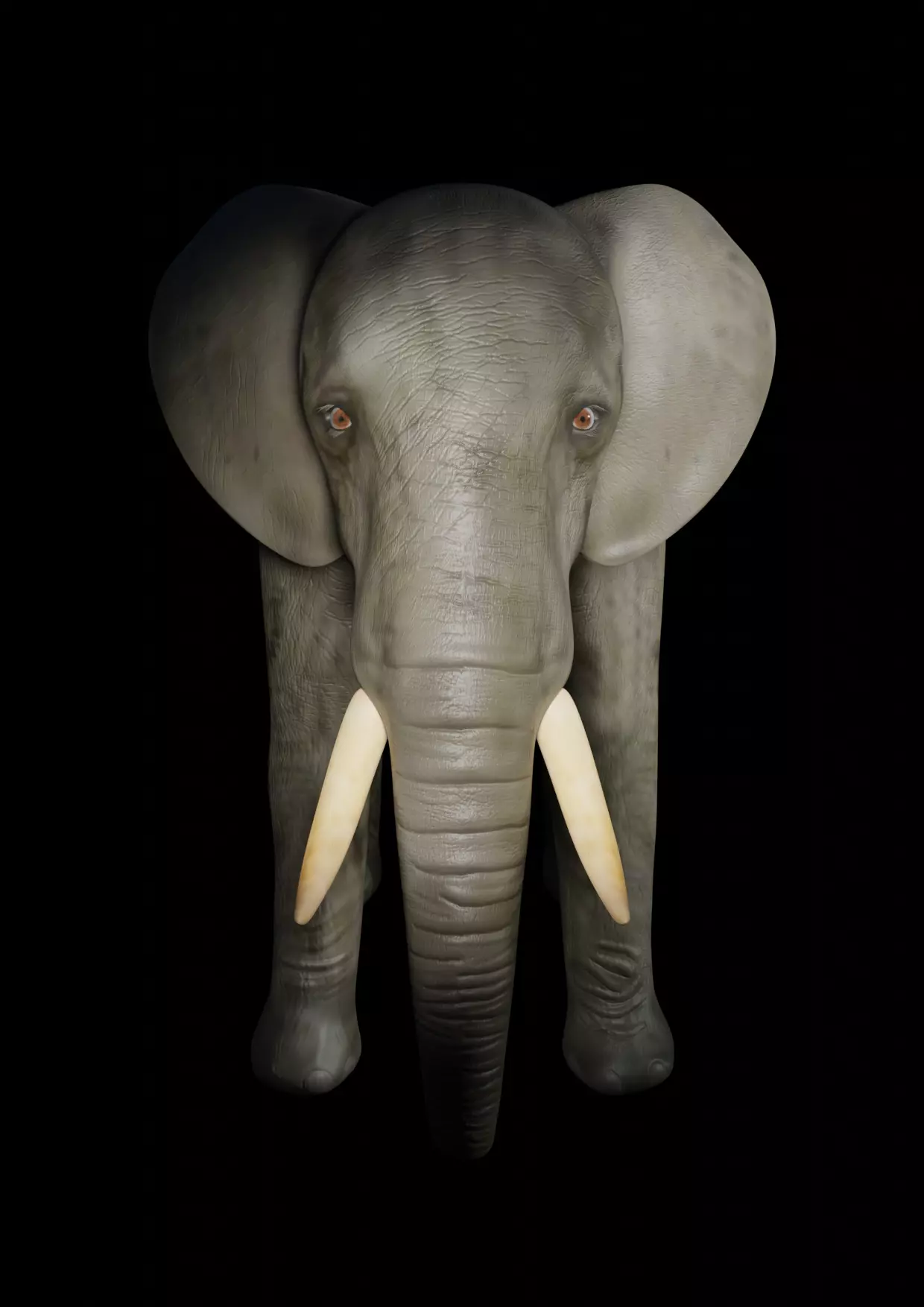 elephant  for game 3D model_0