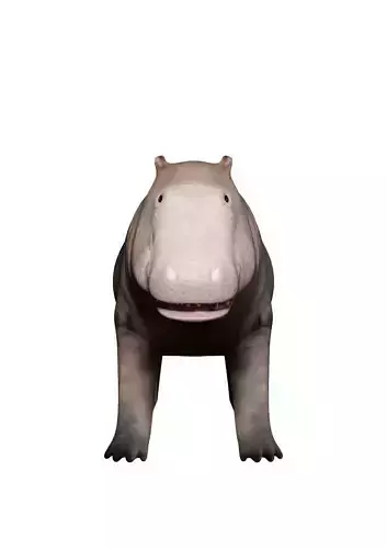 hipoppotamus for game