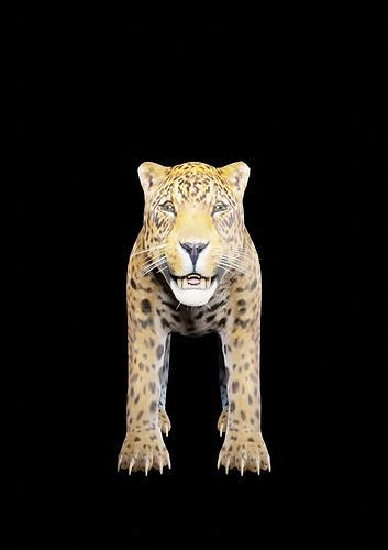 ounce for game 3D model
