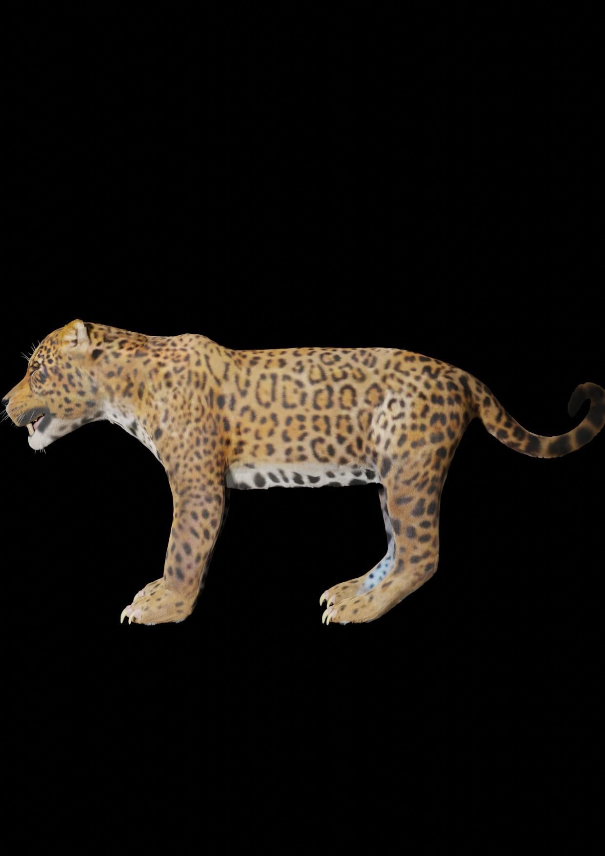 ounce for game 3D model_1