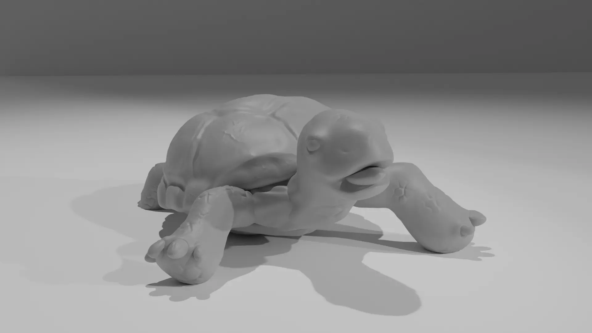 turtoise 3D model