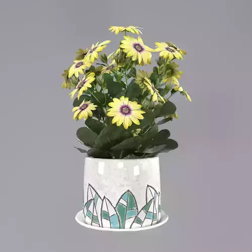Flower in a pot