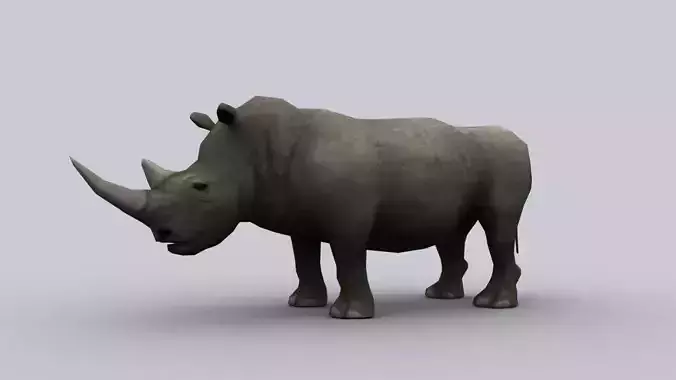RHINOCEROS GAME READY ANIMATED MODEL Low-poly 3D model RHINOCEROS GAME READY ANIMATED MODEL Low-poly 3D model