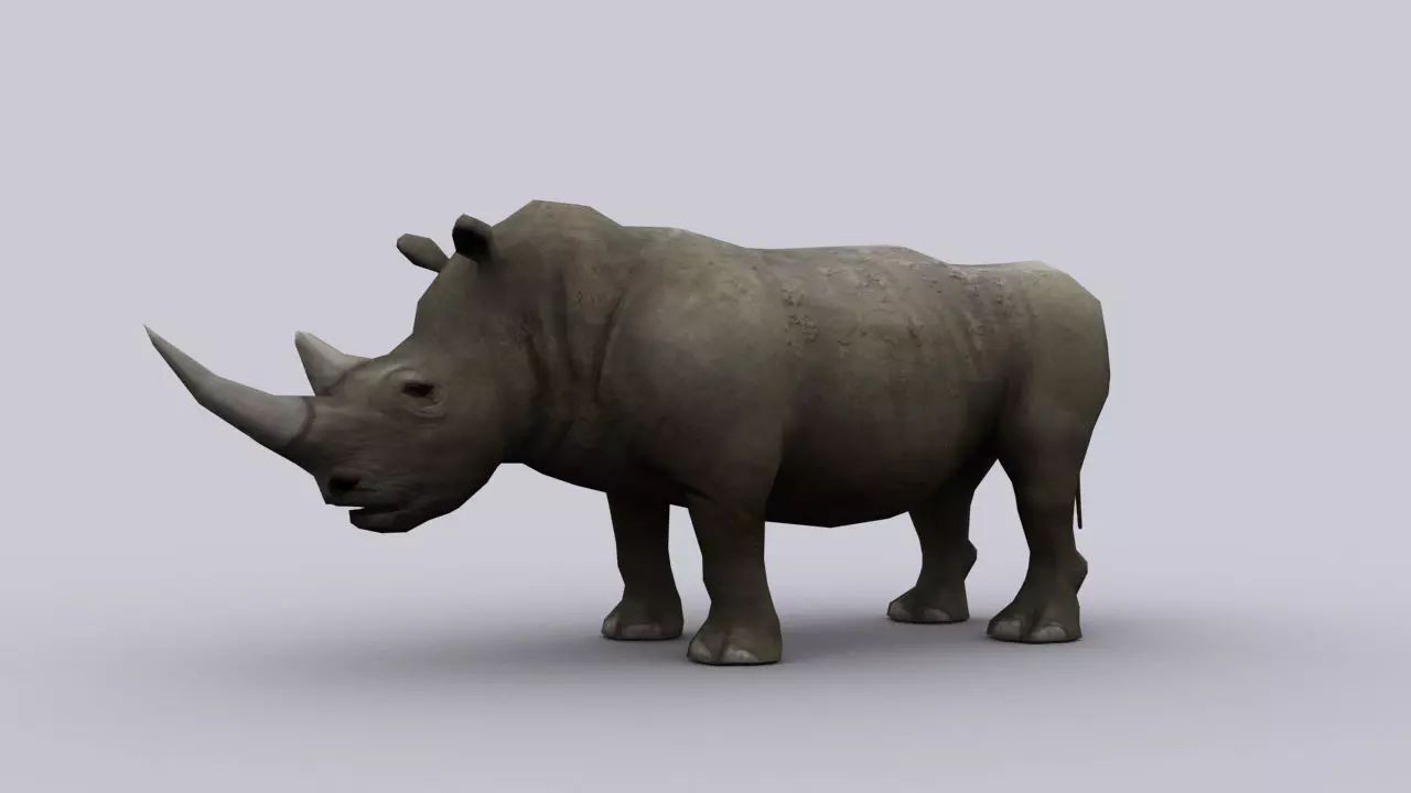 RHINOCEROS GAME READY ANIMATED MODEL Low-poly 3D model_0