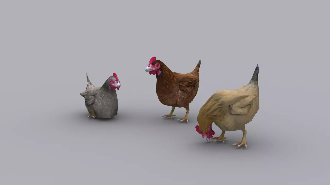 CHICKEN GAME READY ANIMATED MODEL Low-poly 3D model_0