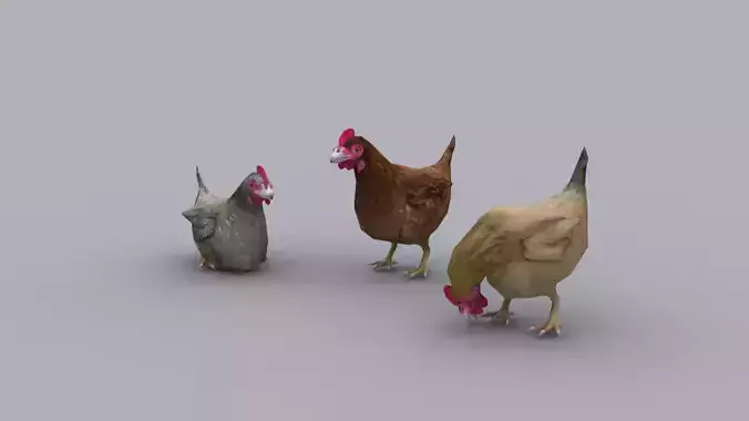 CHICKEN GAME READY ANIMATED MODEL Low-poly 3D model