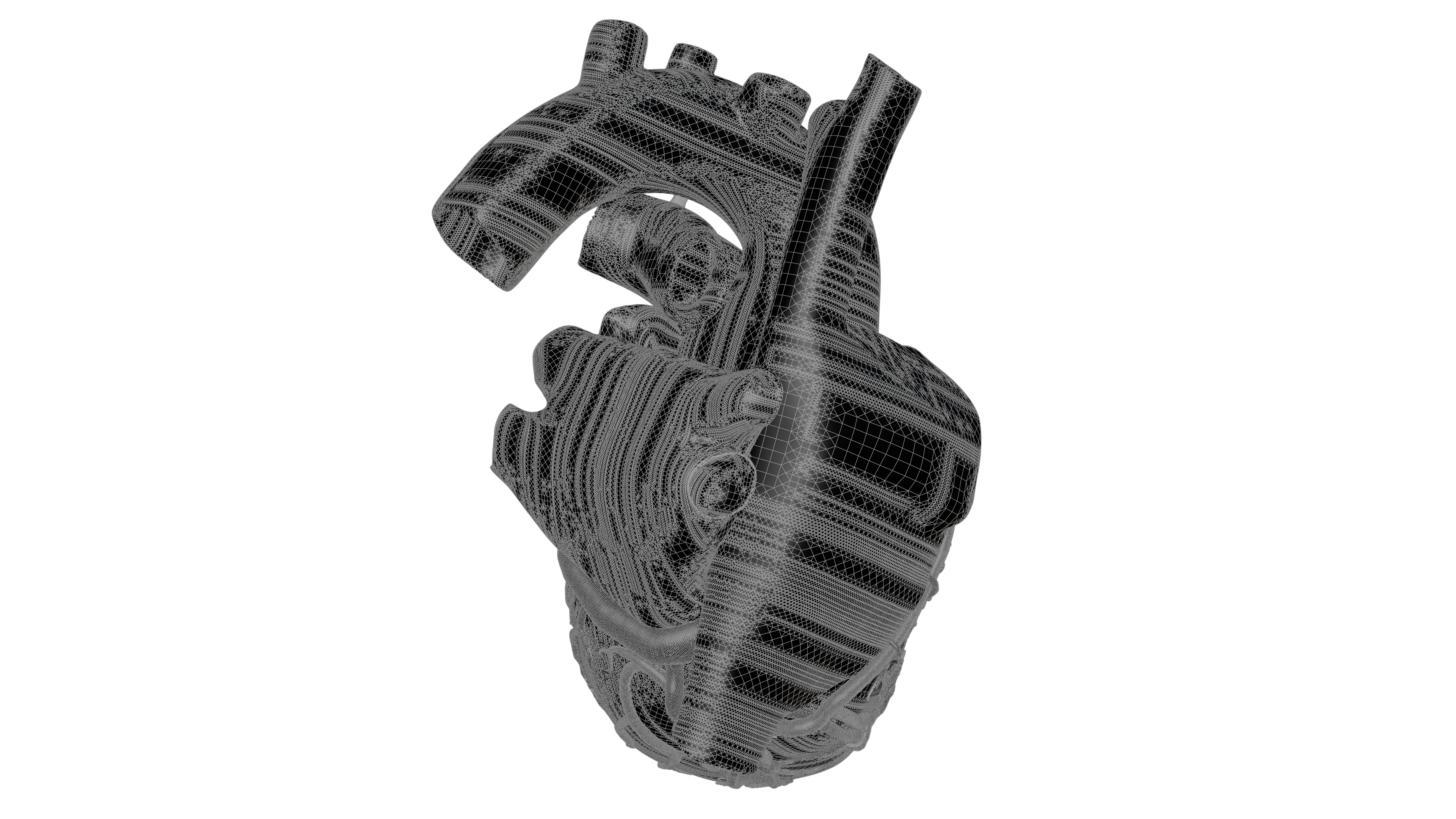 Human Heart HD 3D model_9