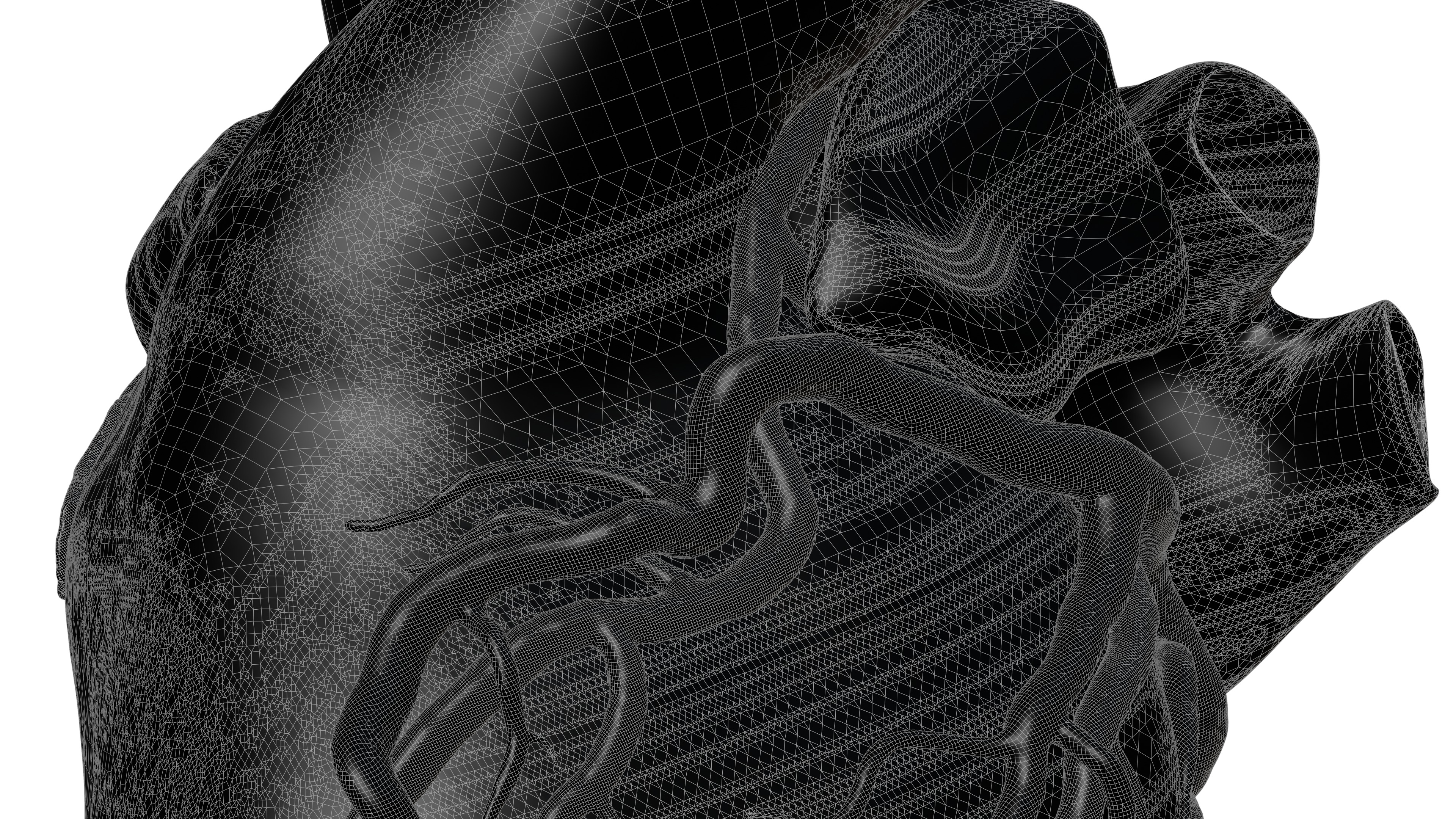 Human Heart HD 3D model_8