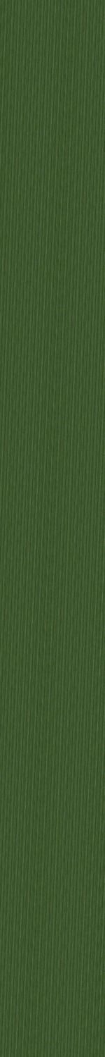 Kitchen Scene  Free 3D model_63