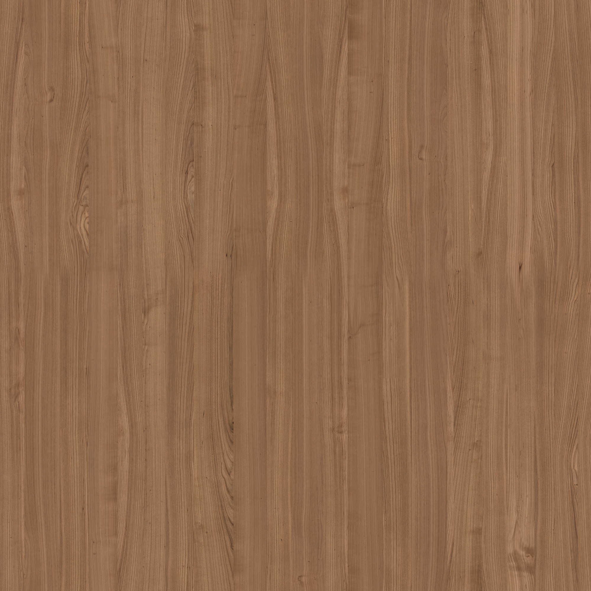 Kitchen Scene  Free 3D model_19