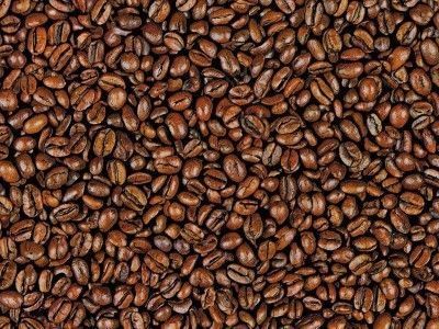 Kitchen Scene  Free 3D model_13