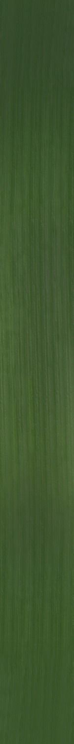 Kitchen Scene  Free 3D model_45