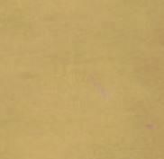 Kitchen Scene  Free 3D model_5