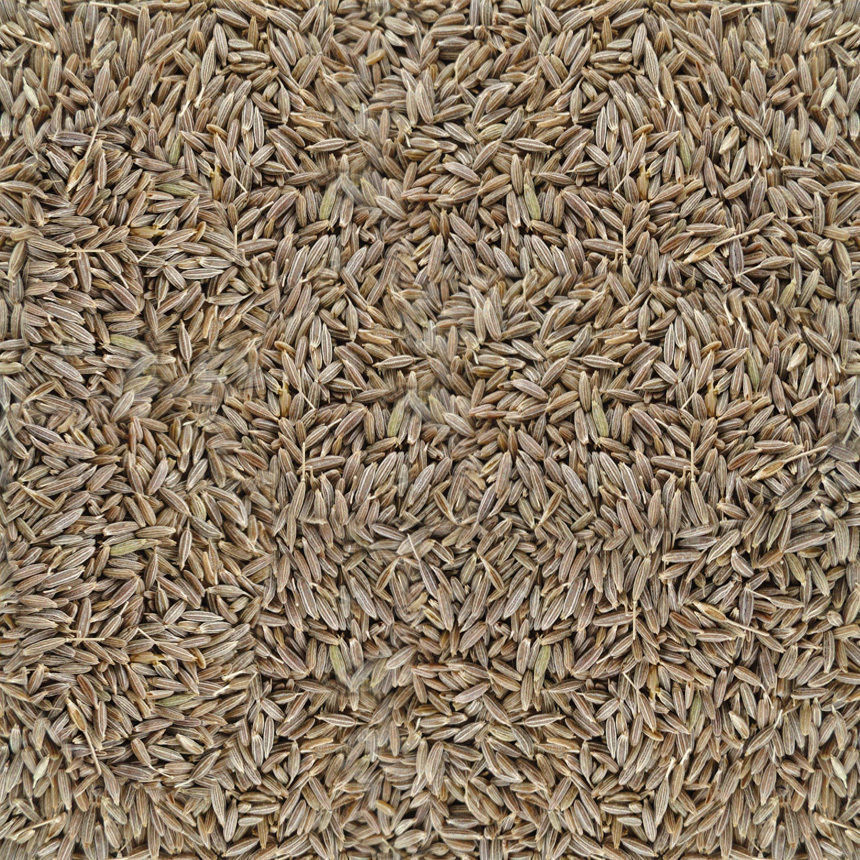 Kitchen Scene  Free 3D model_43