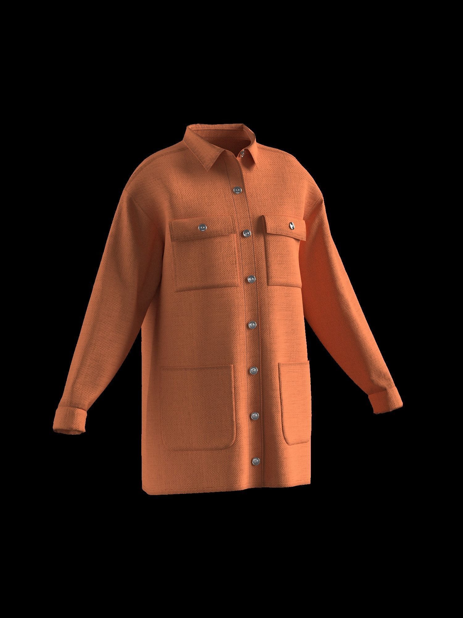 Female shirt dress 3D model_1