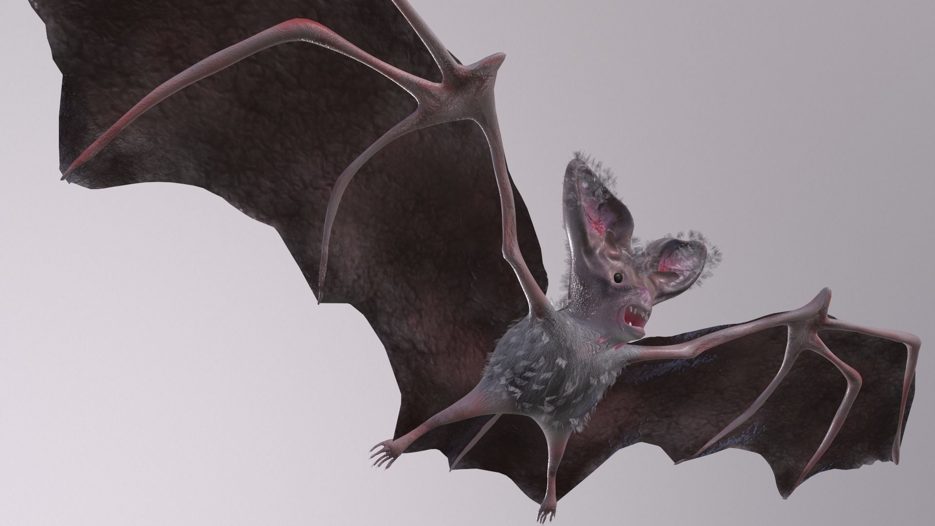 Bat Animated Low-poly 3D model_2