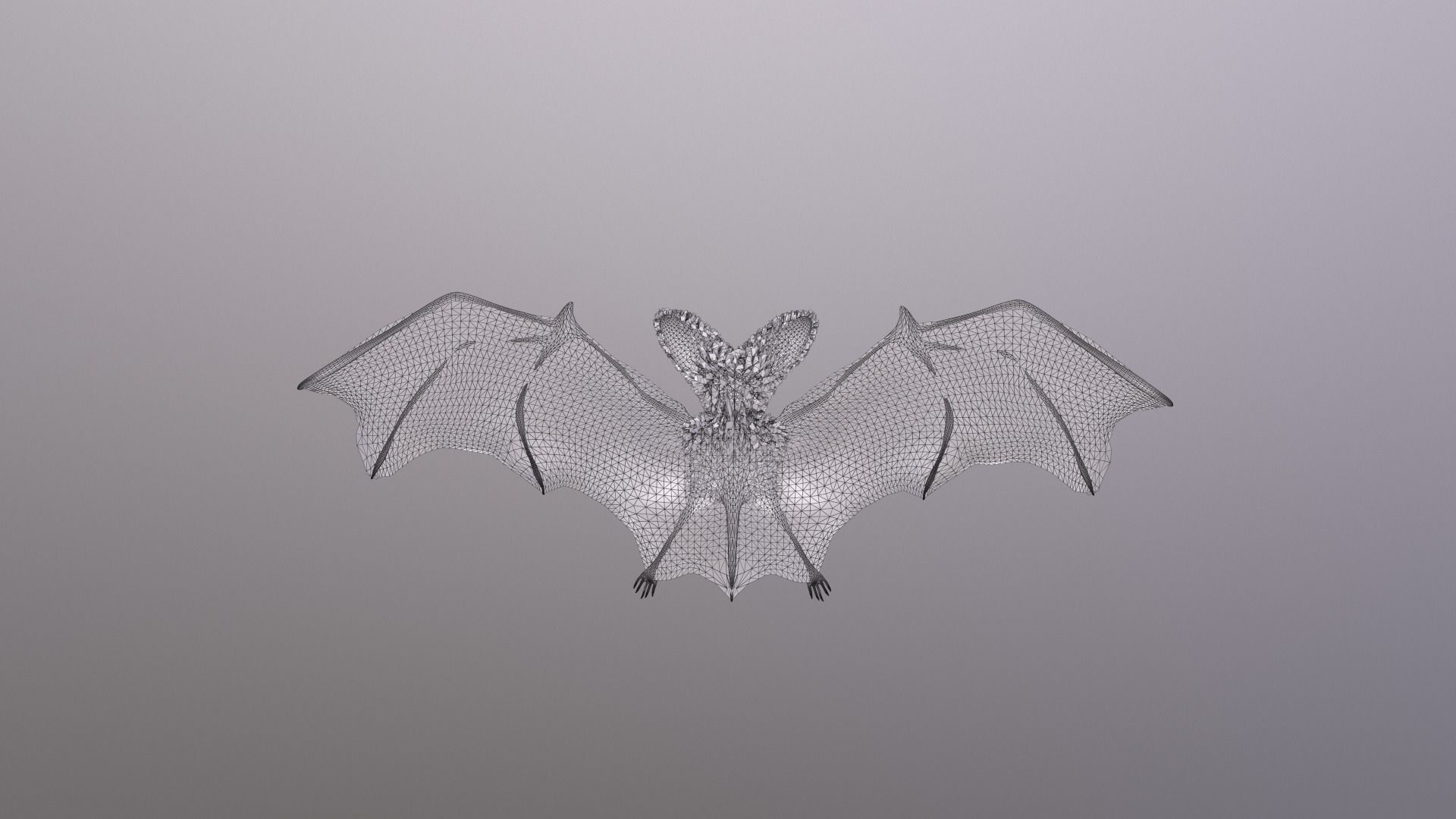 Bat Animated Low-poly 3D model_7