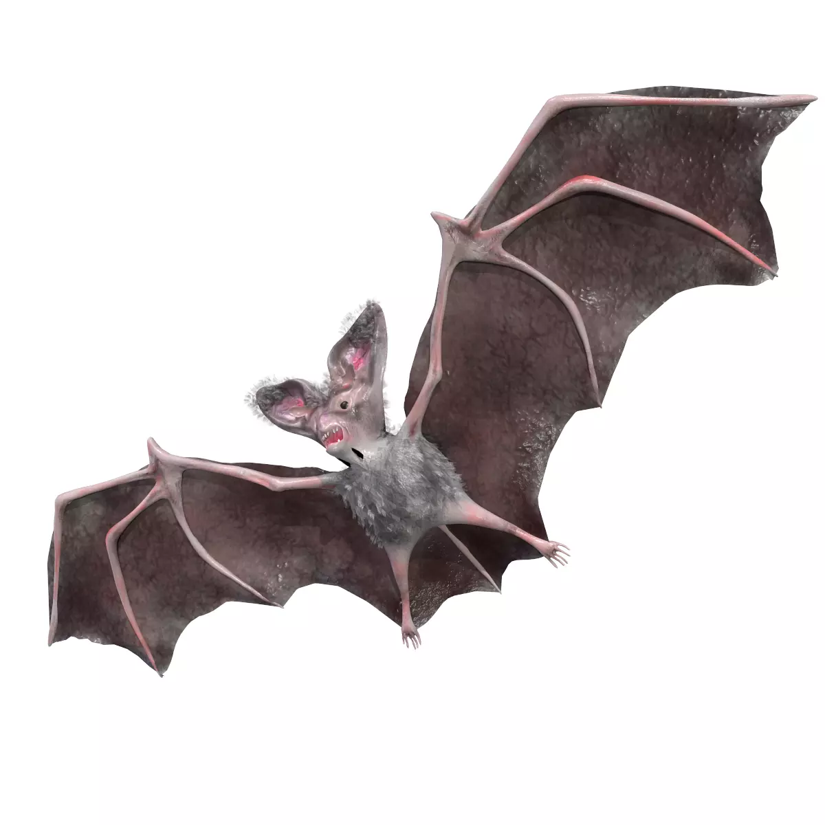 Bat Animated Low-poly 3D model_0