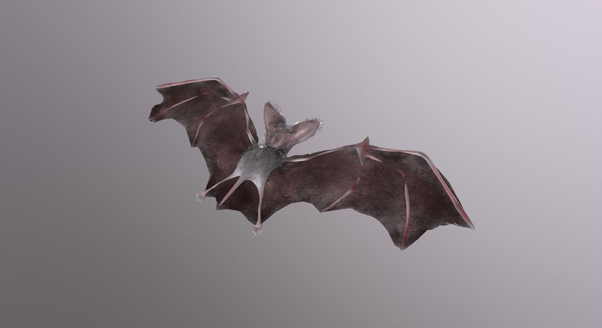 Bat Animated Low-poly 3D model_8
