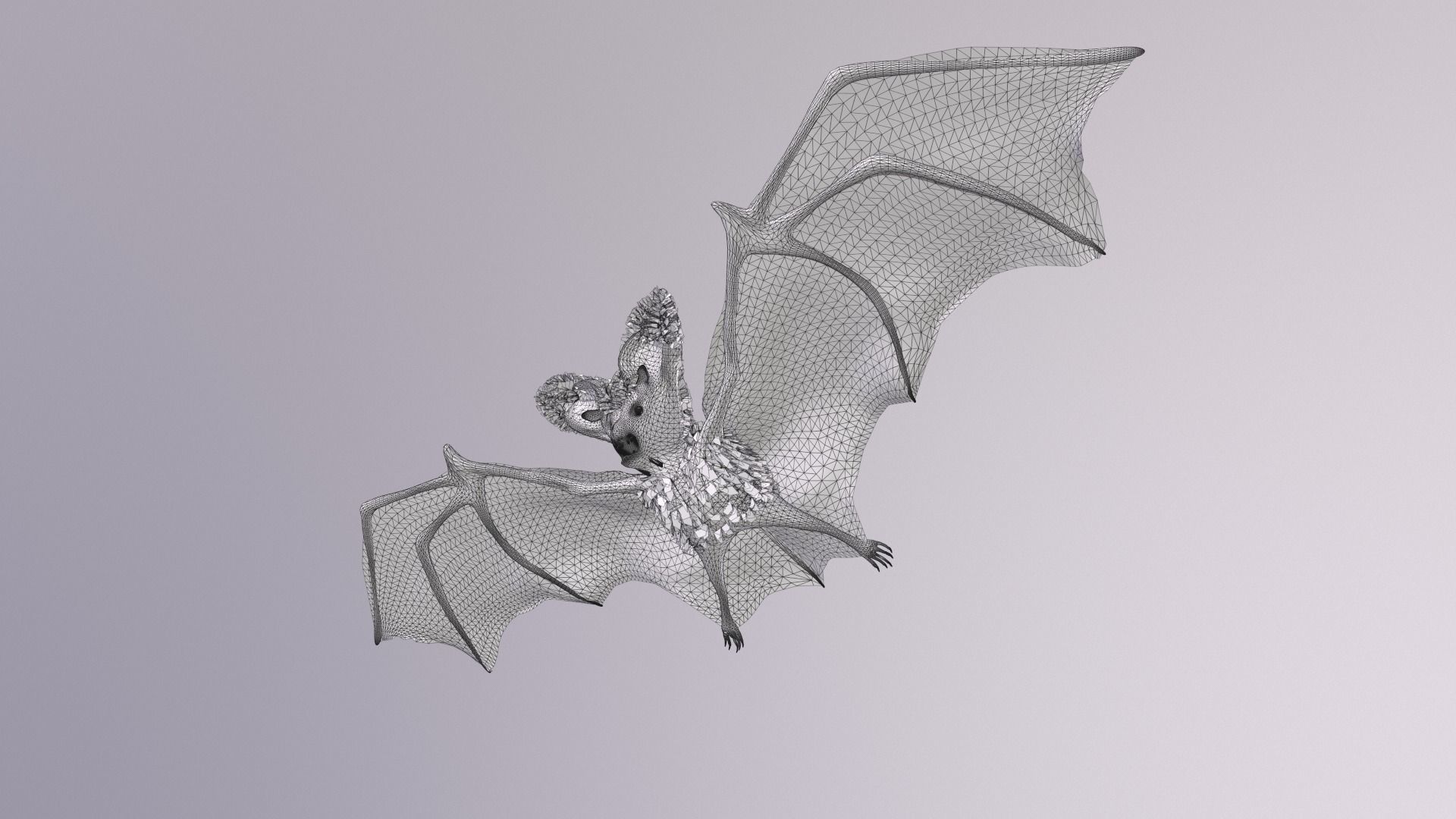 Bat Animated Low-poly 3D model_6