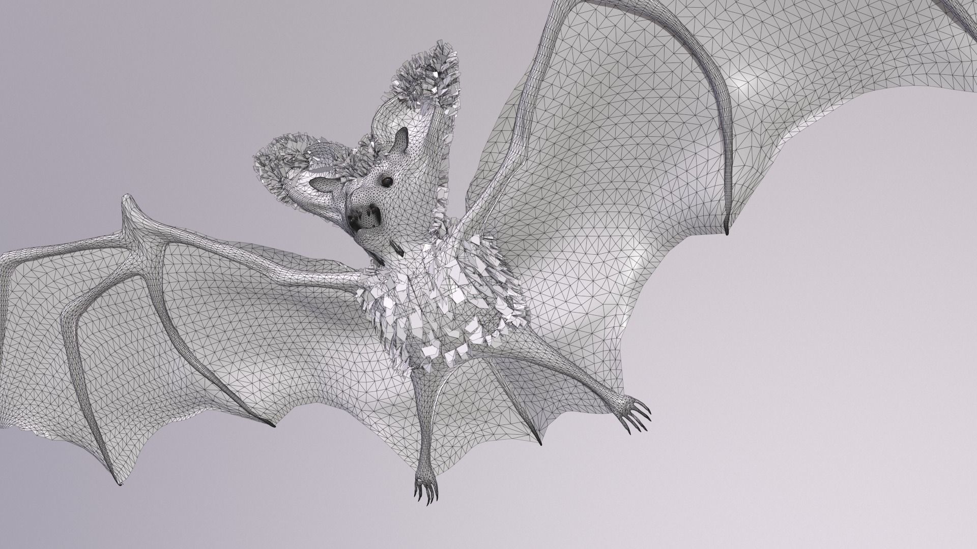 Bat Animated Low-poly 3D model_9
