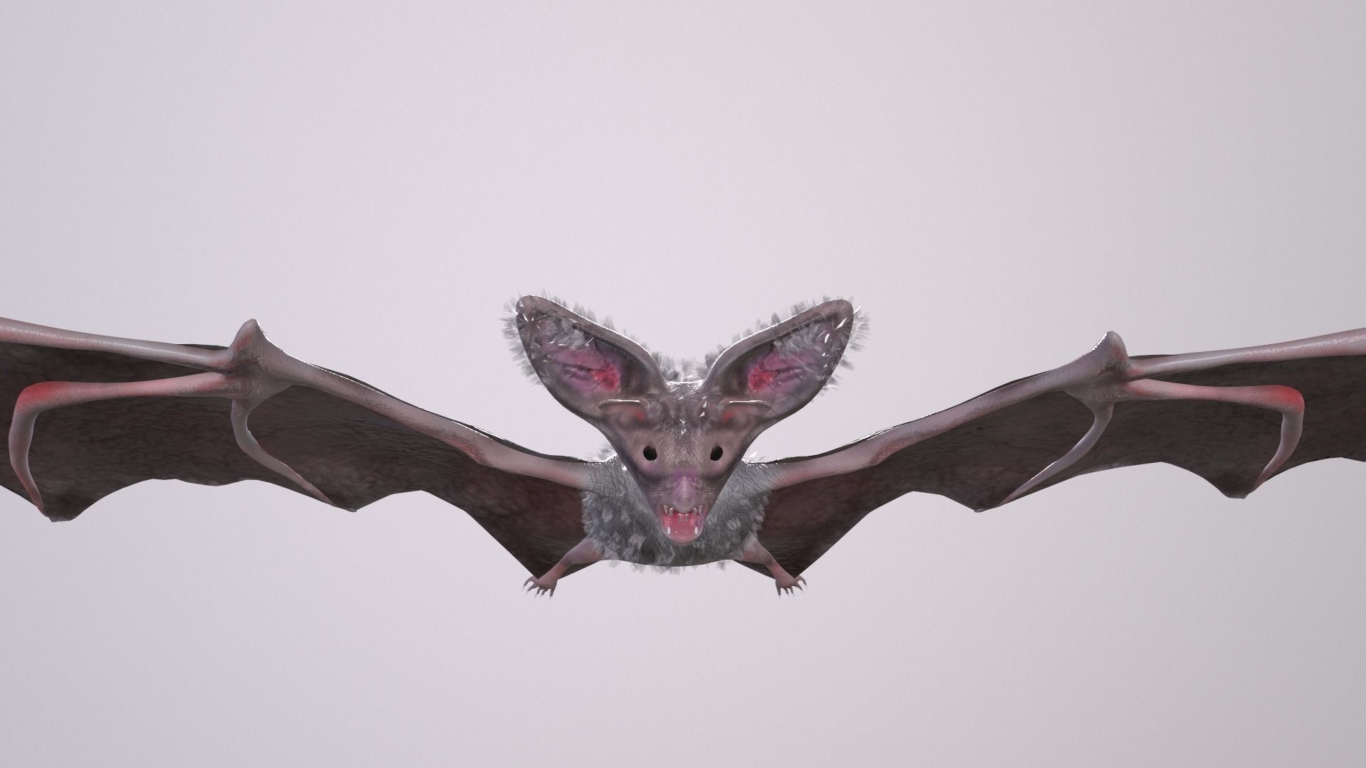 Bat Animated Low-poly 3D model_3