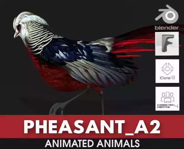 Pheasant A2 3D model