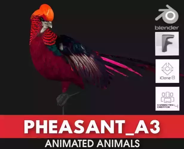 Pheasant A3