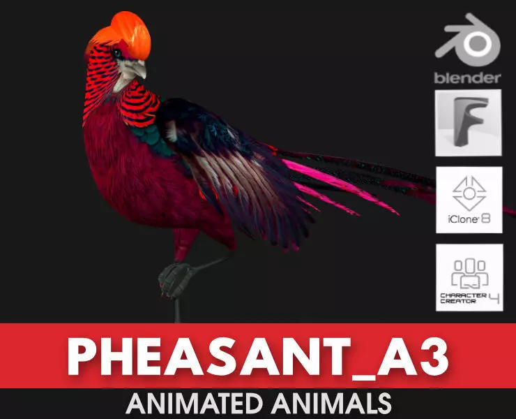 Pheasant A3 3D model_0