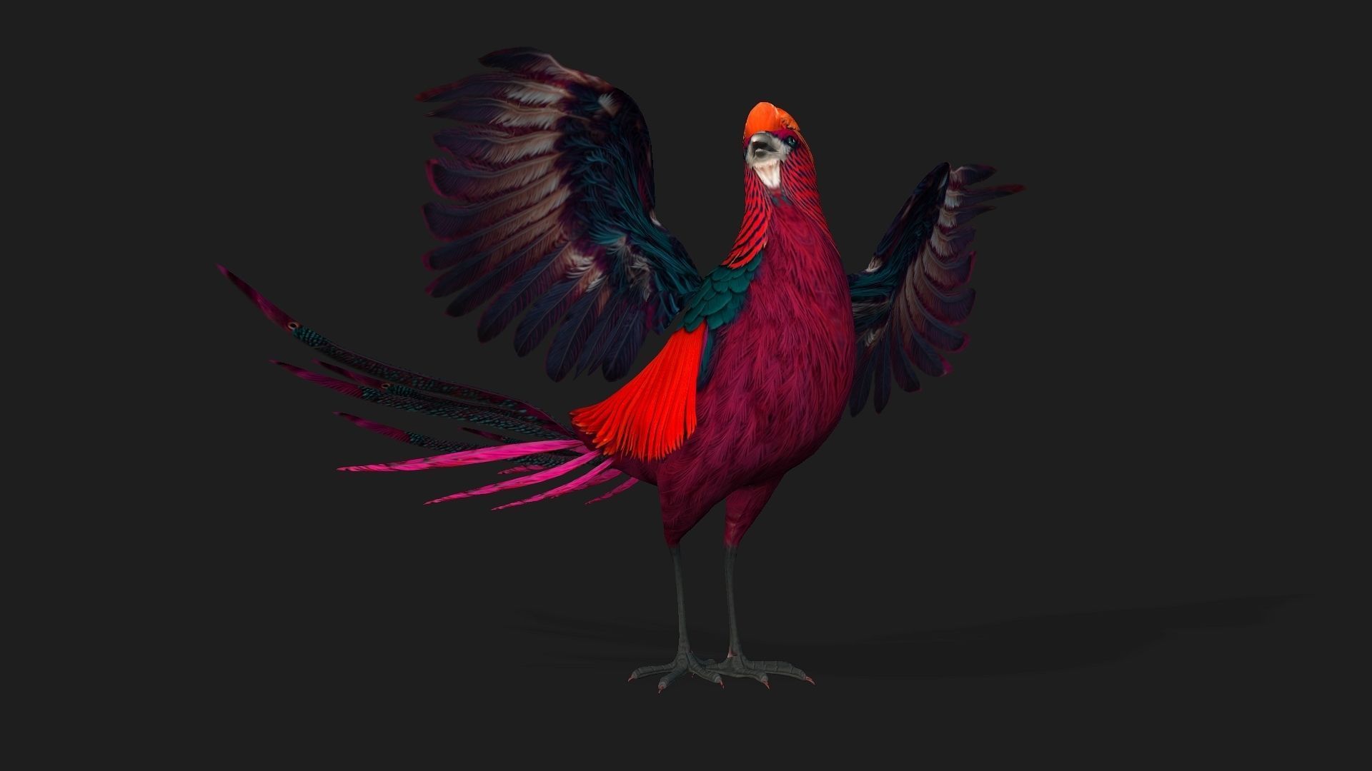 Pheasant A3 3D model_5