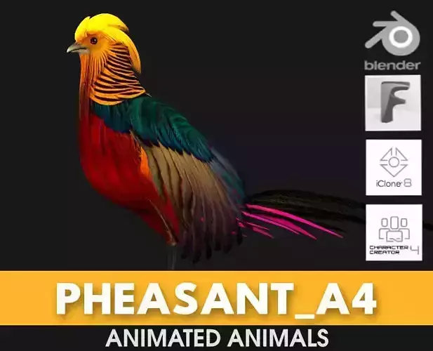 Pheasant A4 3D model