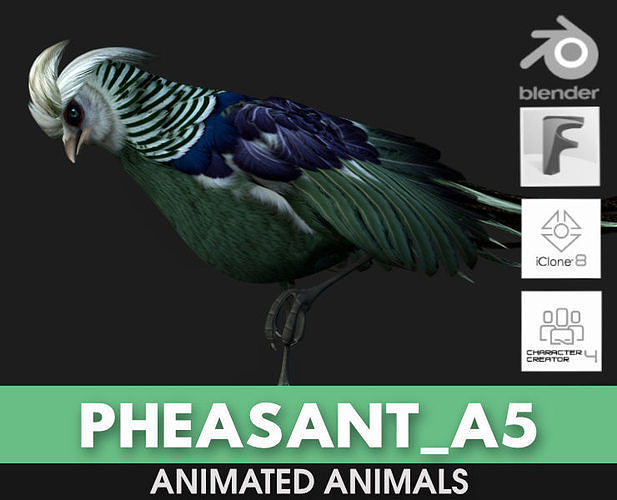 Pheasant A5 3D model