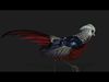 Pheasant A5 3D model_1