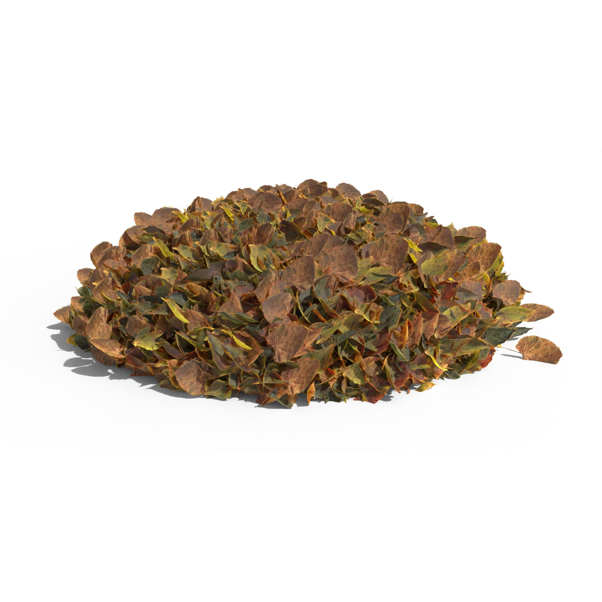 Linden Leaf Pile 3D model_13