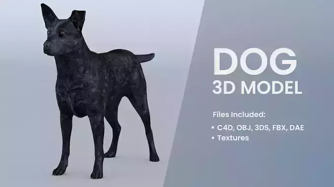 Realistic Rigged Black Dog