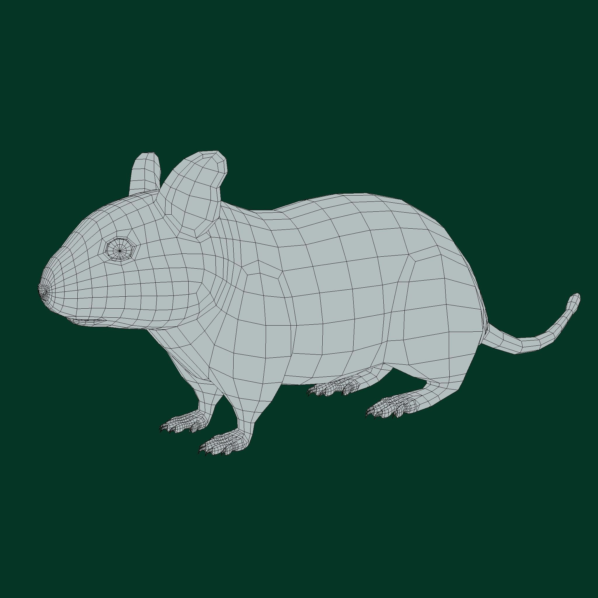 Common Degu Rat Rodents Low-poly 3D model_4